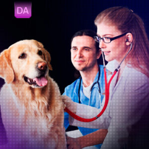 Auxiliar de Veterinário